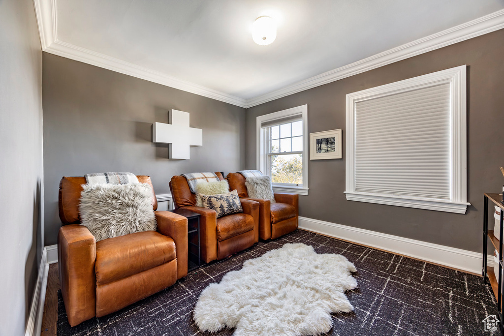 Sitting room with baseboard heating and crown molding