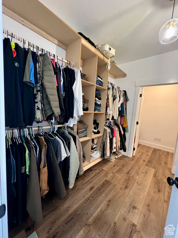 Walk in closet featuring hardwood / wood-style flooring