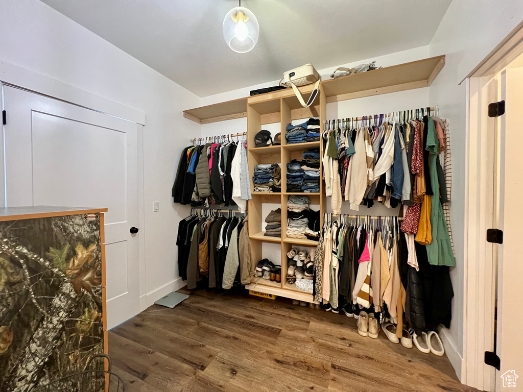 Walk in closet featuring dark hardwood / wood-style floors