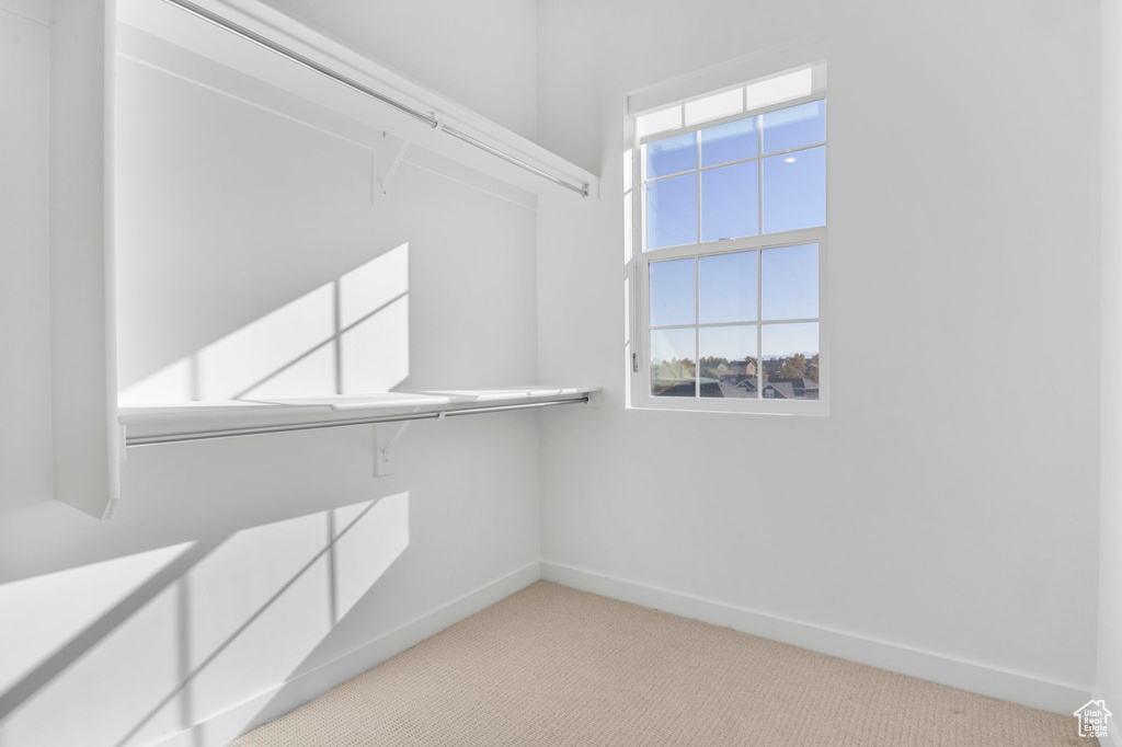 Spacious closet featuring light colored carpet