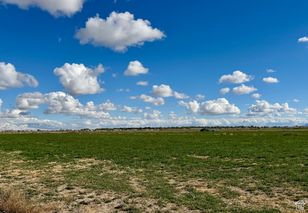 View of local wilderness featuring a rural view