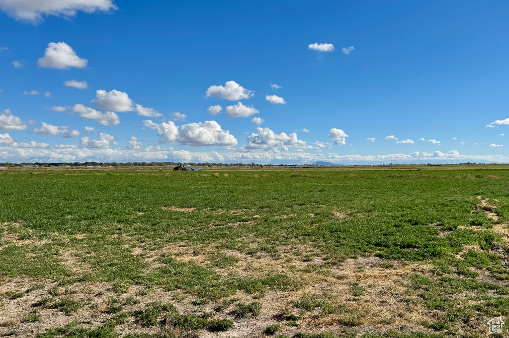 View of local wilderness featuring a rural view