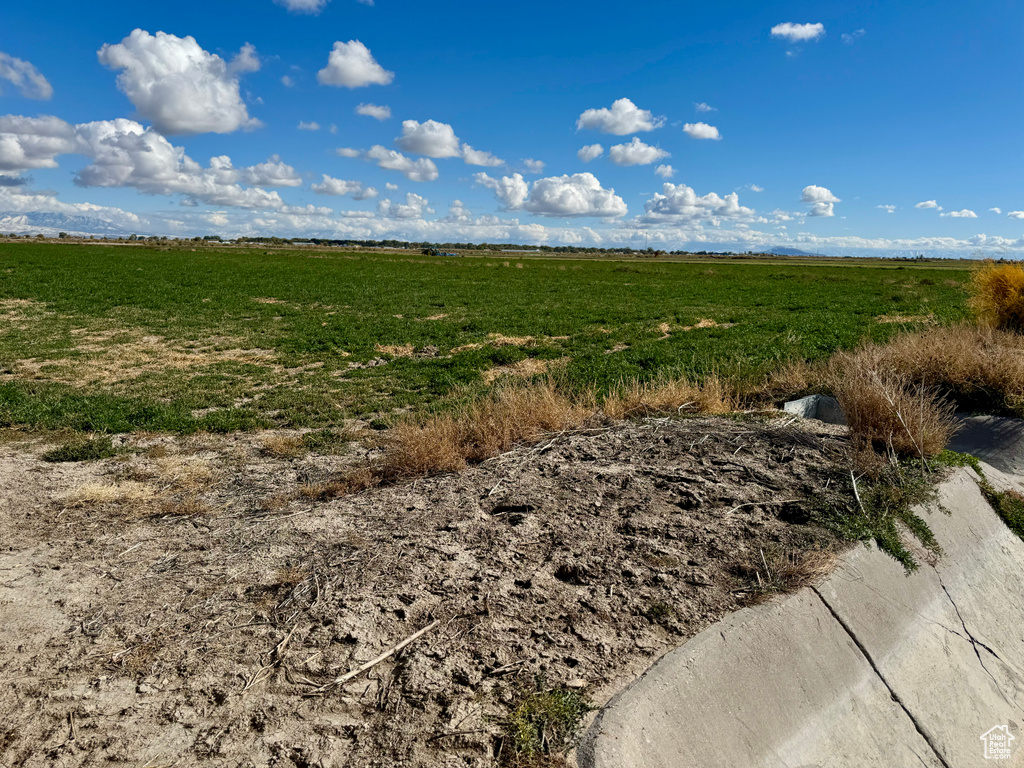 View of local wilderness featuring a rural view