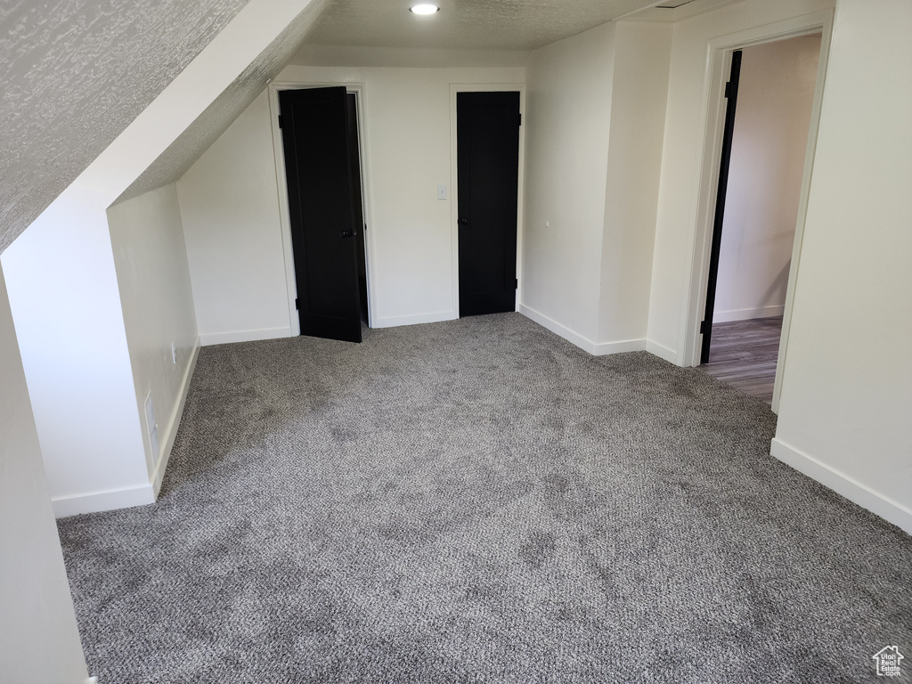 Additional living space featuring carpet, lofted ceiling, and a textured ceiling