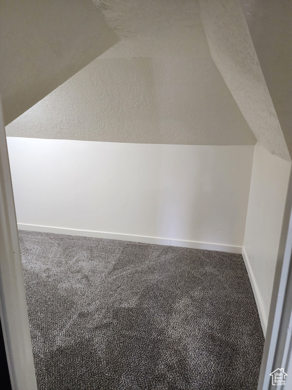 Bonus room with lofted ceiling, a textured ceiling, and carpet floors