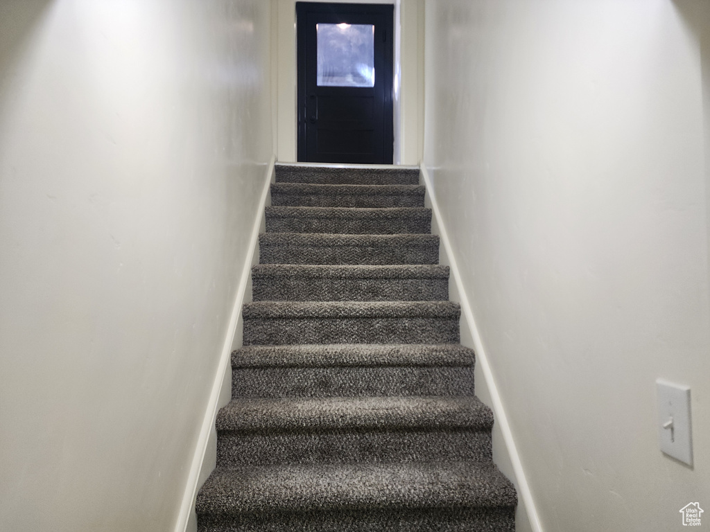 Stairway featuring carpet floors