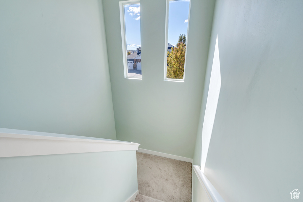 Stairway featuring carpet flooring