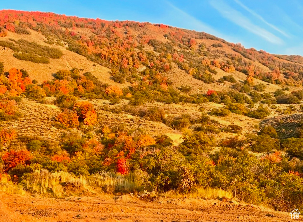 View of mountain feature