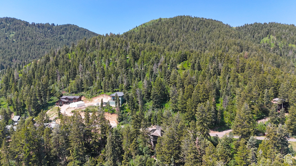 Aerial overview of property's location featuring a heavily wooded area and a mountain backdrop