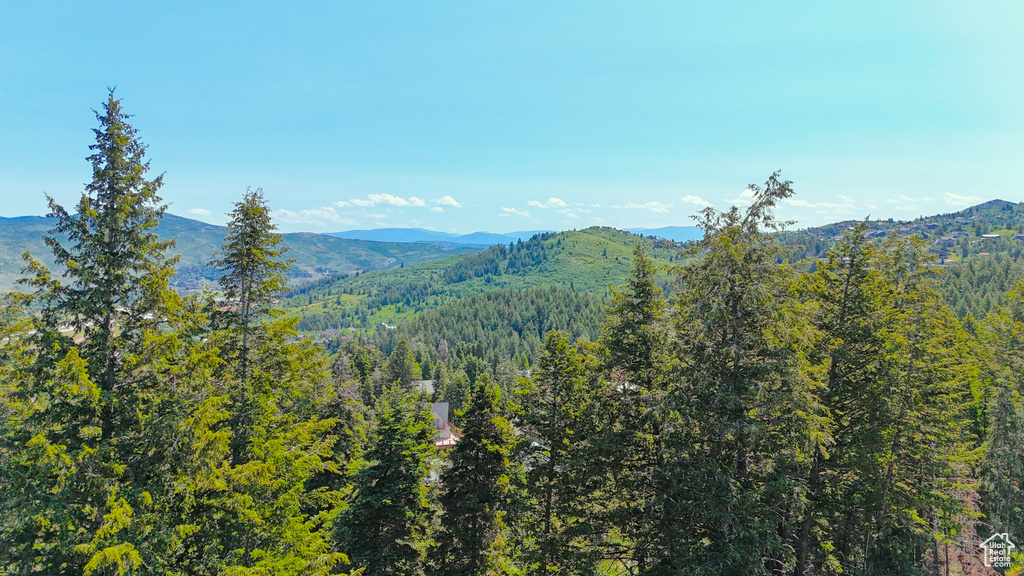 View of mountain backdrop with a heavily wooded area