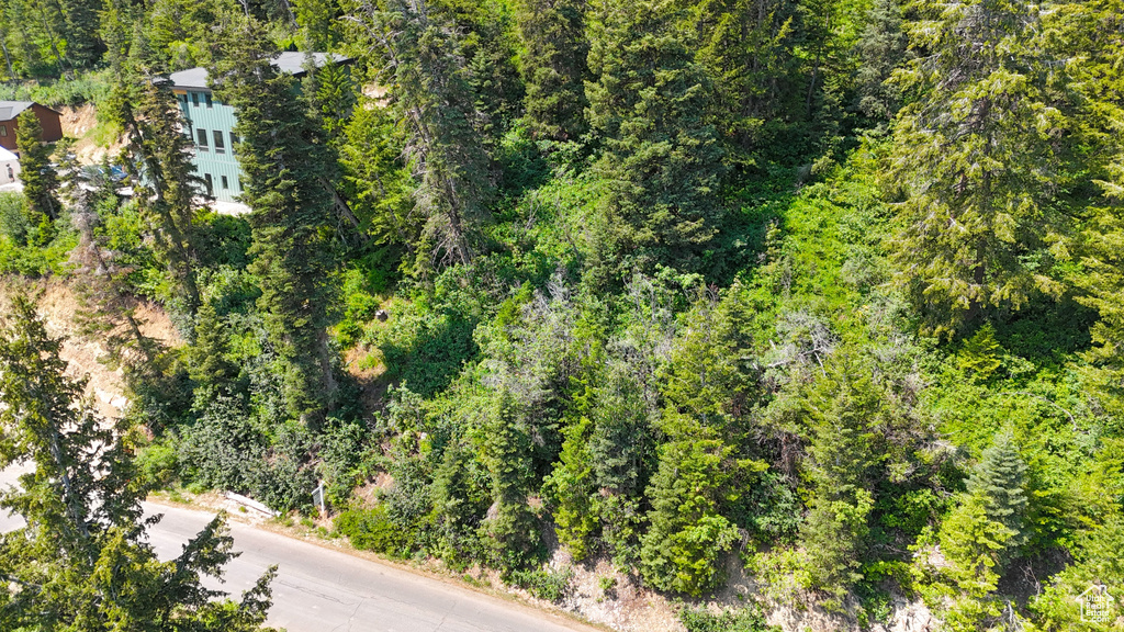 Drone / aerial view of a heavily wooded area