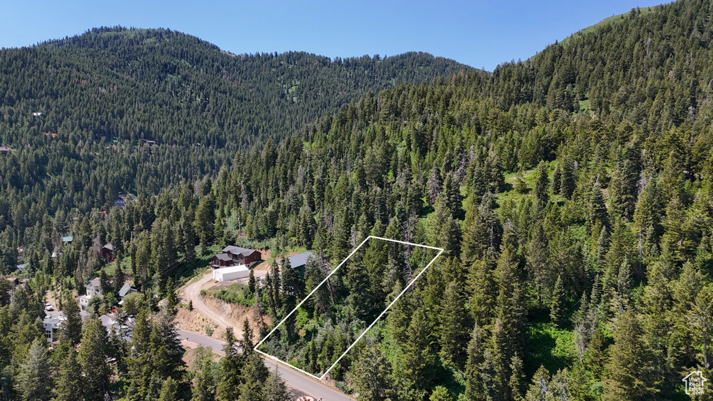 View of mountain backdrop featuring a heavily wooded area