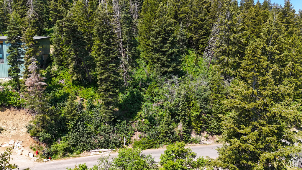 Bird's eye view of a heavily wooded area