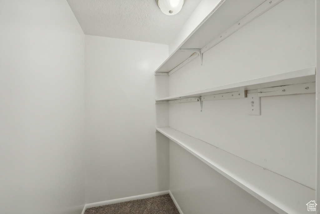Walk in closet featuring carpet floors