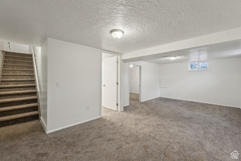 Basement featuring carpet and a textured ceiling