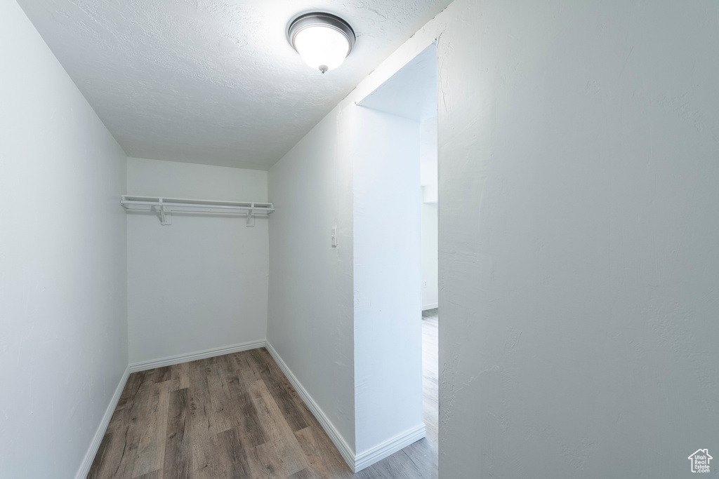 Spacious closet featuring wood-type flooring