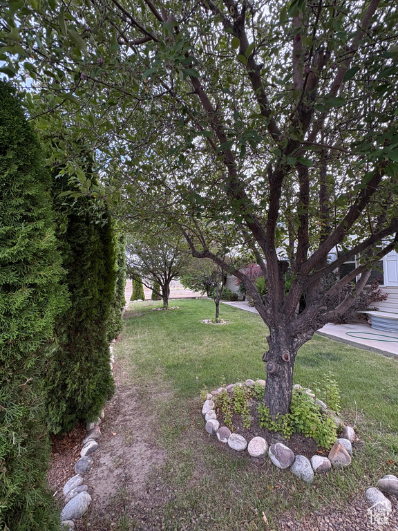 244 N 600 E Duchesne, UT 84021