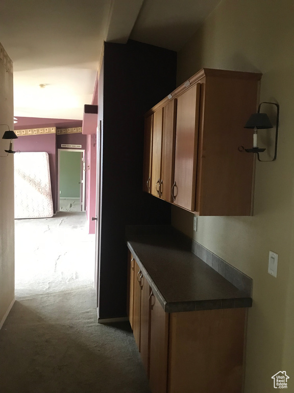 Kitchen with carpet flooring