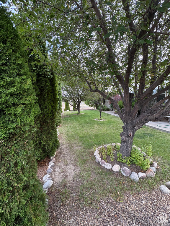 244 N 600 E Duchesne, UT 84021