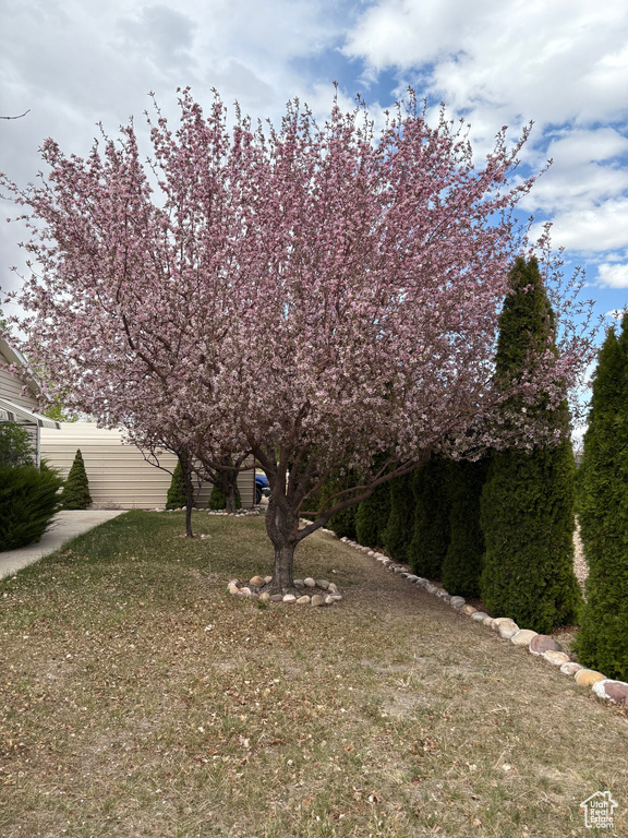 244 N 600 E Duchesne, UT 84021