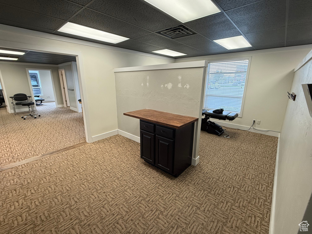 Office space featuring a drop ceiling and carpet floors