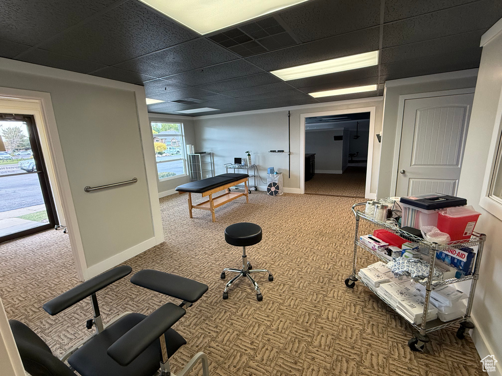 Recreation room with a wealth of natural light, a paneled ceiling, and carpet floors