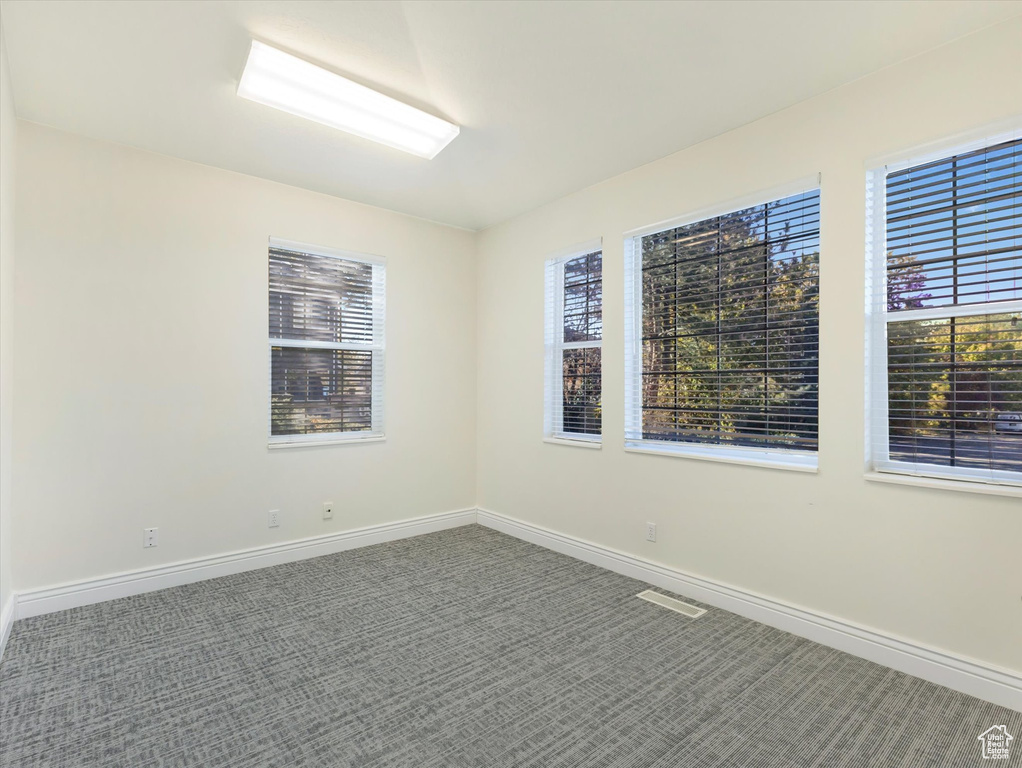 Carpeted spare room with a wealth of natural light