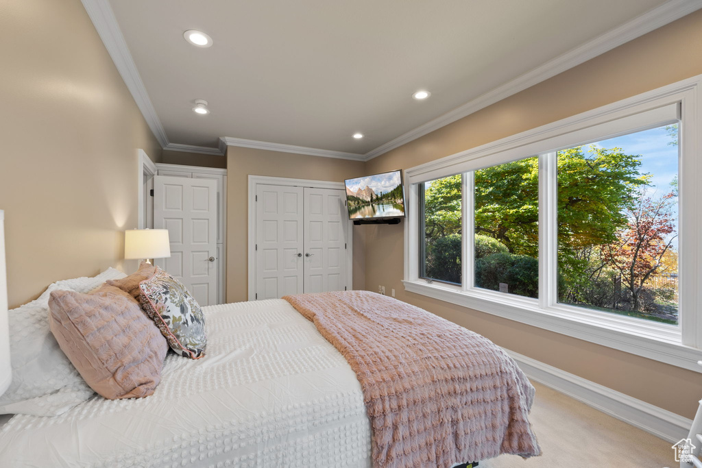 Bedroom with carpet floors, crown molding, and a closet