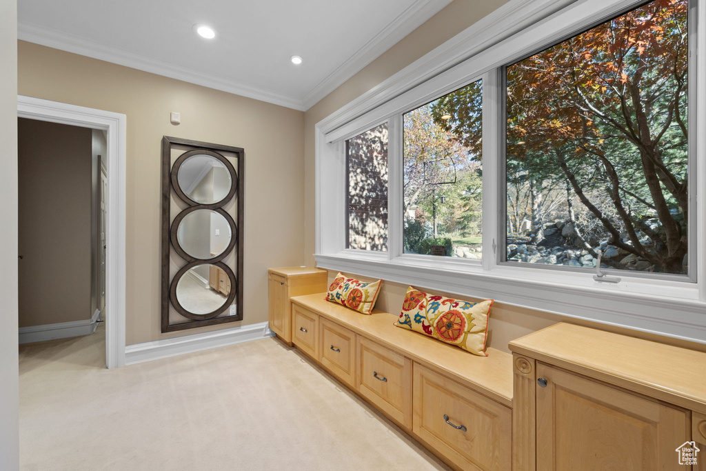 Living area featuring light carpet and ornamental molding