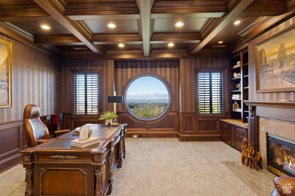 Carpeted office featuring a wealth of natural light and wooden walls