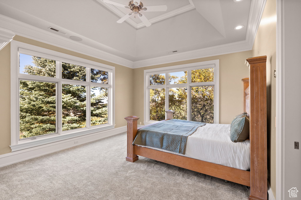 Carpeted bedroom with ceiling fan, crown molding, and a tray ceiling