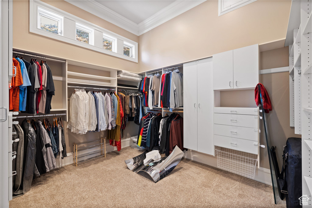 Walk in closet featuring light carpet and a towering ceiling