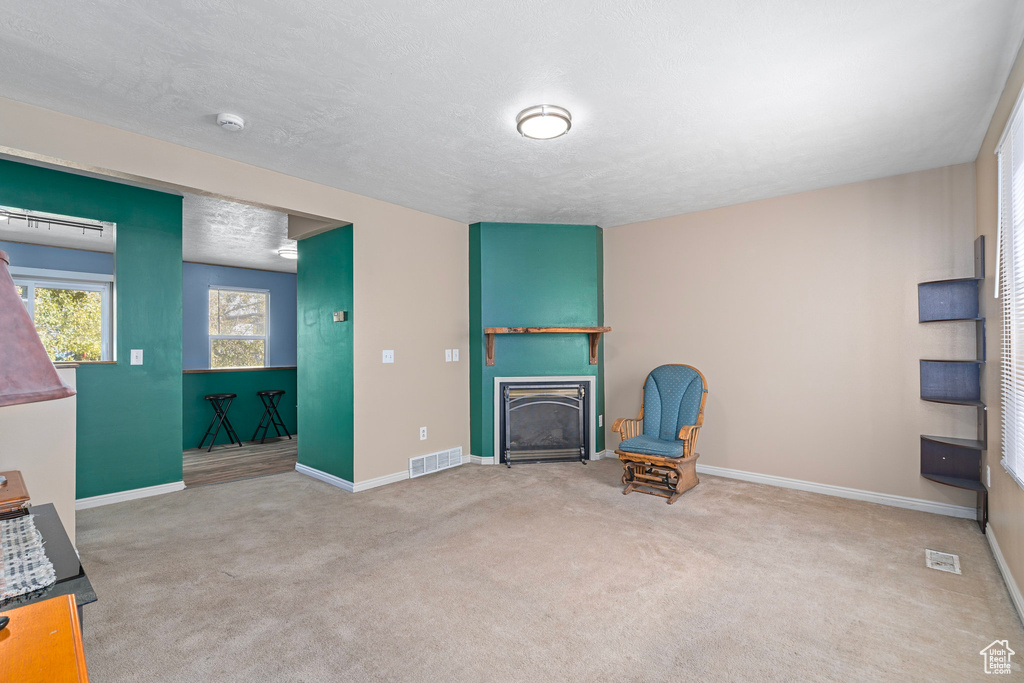 Sitting room with a textured ceiling and carpet floors