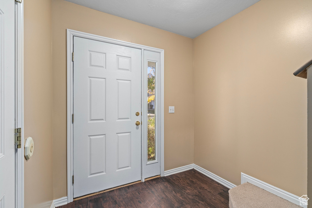 Entryway featuring dark wood-type flooring