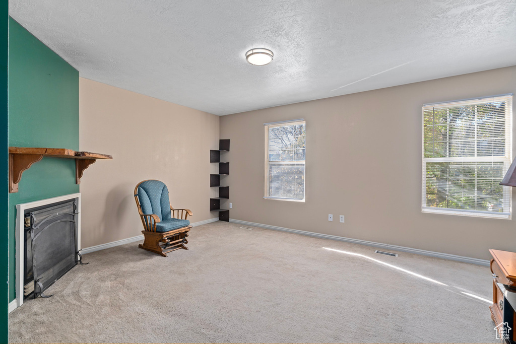 Sitting room with a textured ceiling, light carpet, and plenty of natural light