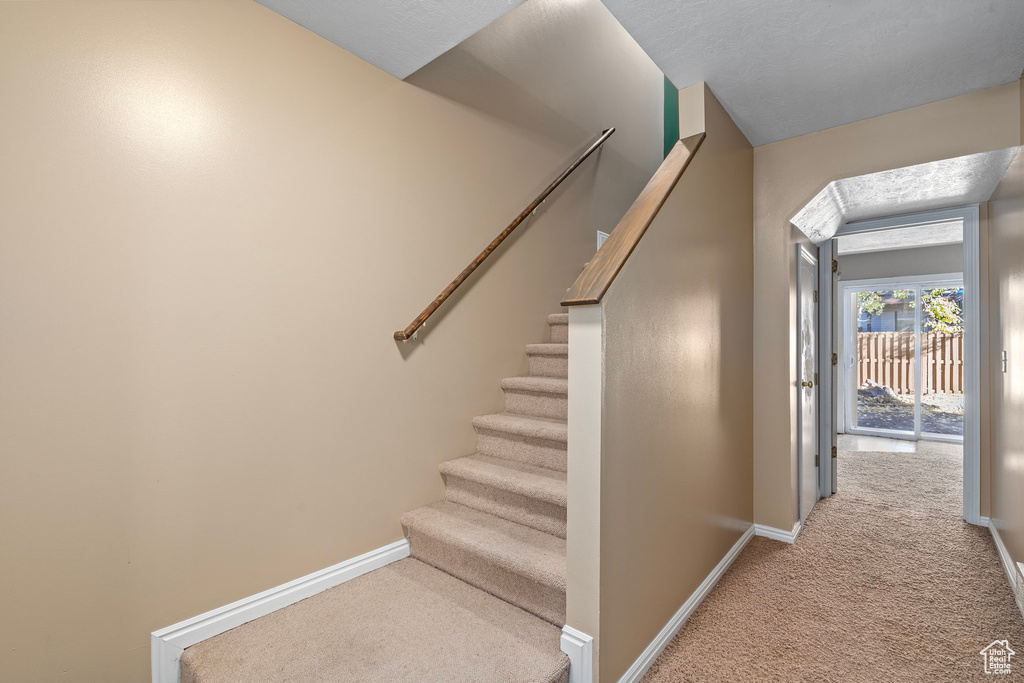 Stairway featuring carpet flooring