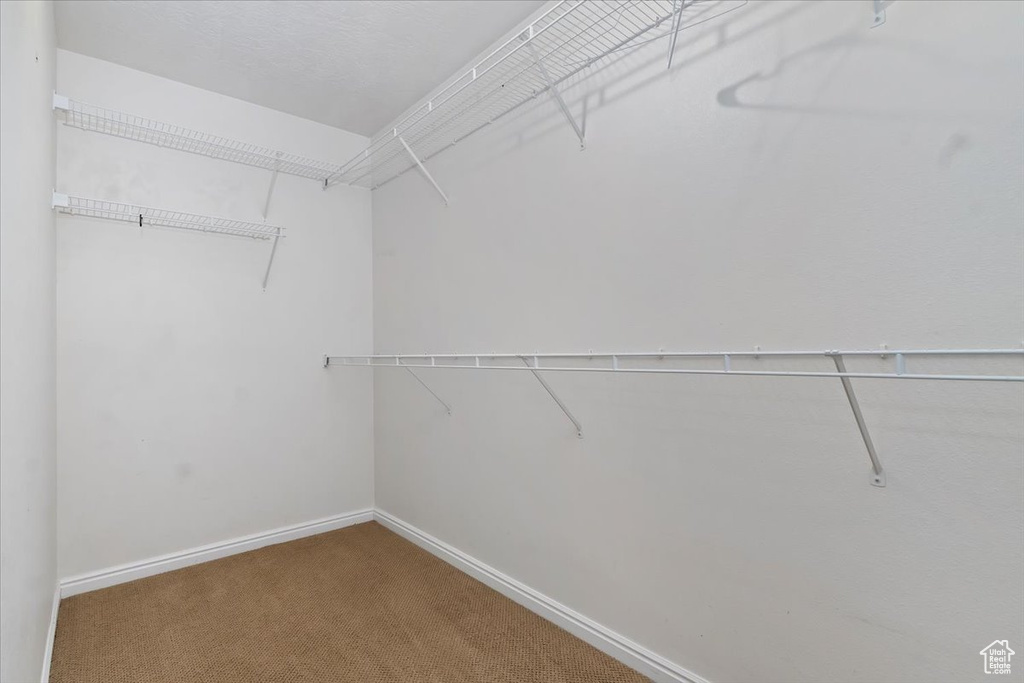 Walk in closet with carpet floors
