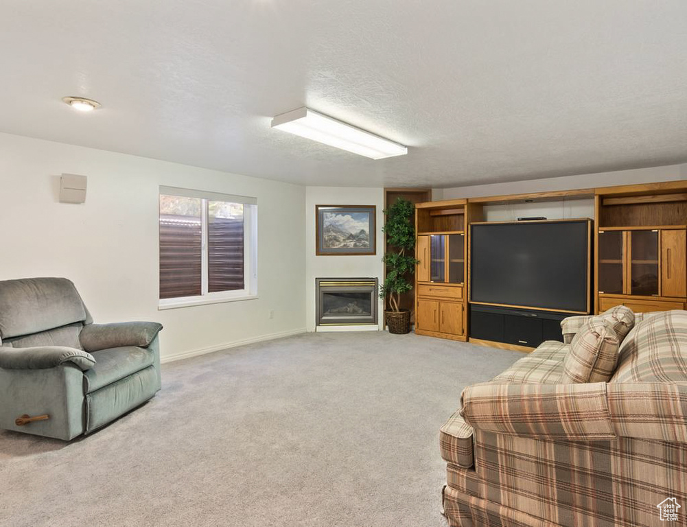 Living area with light colored carpet, baseboards, and a glass covered fireplace