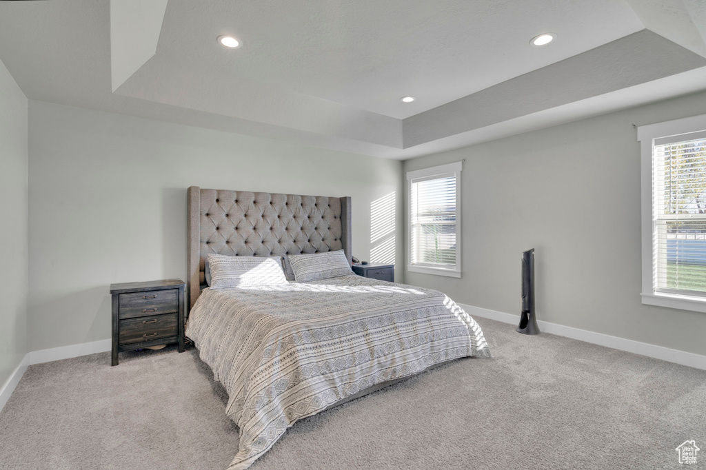 Carpeted bedroom with a tray ceiling