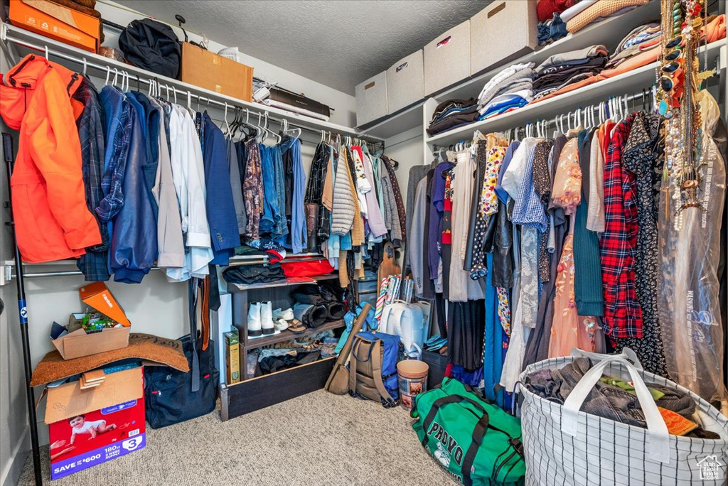 Spacious closet featuring carpet floors