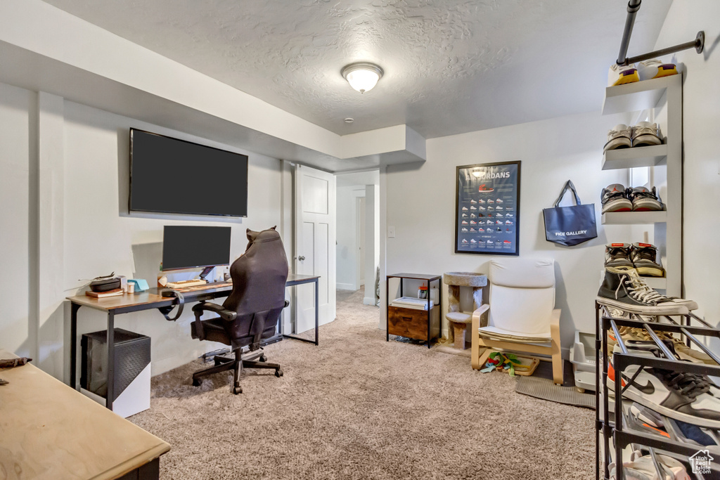 Carpeted office space featuring a textured ceiling