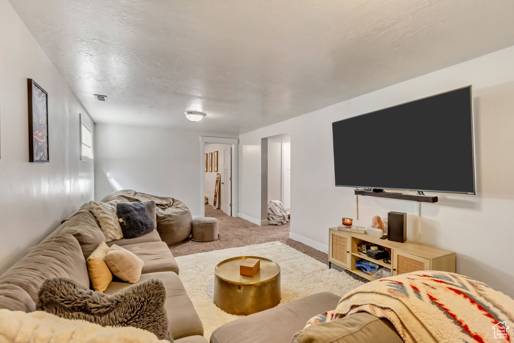 Living room with a textured ceiling and light carpet