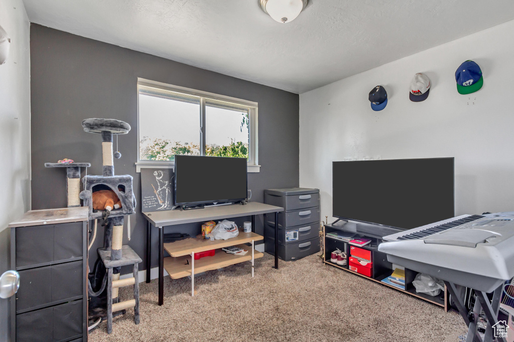 Office area with carpet flooring