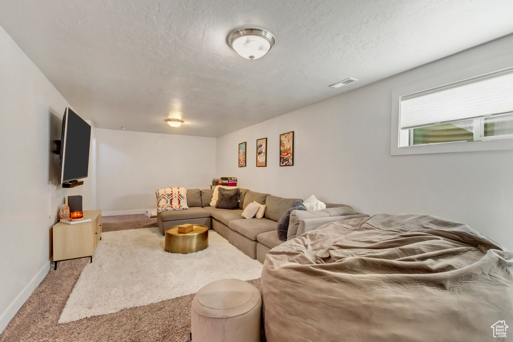 Carpeted living room with a textured ceiling