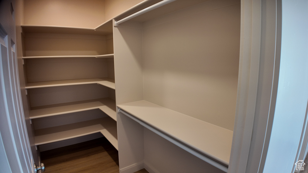 Spacious closet with wood-type flooring