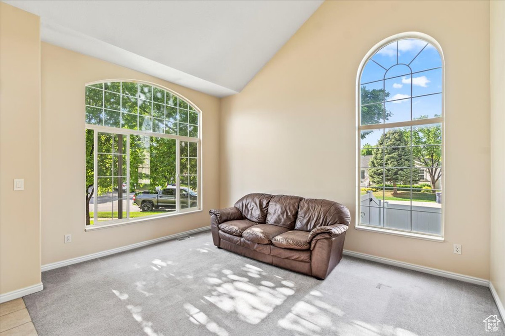 Living room with carpet, baseboards, and lofted ceiling