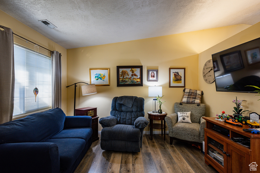 Living room featuring dark wood-type flooring, vaulted ceiling, and a textured ceiling