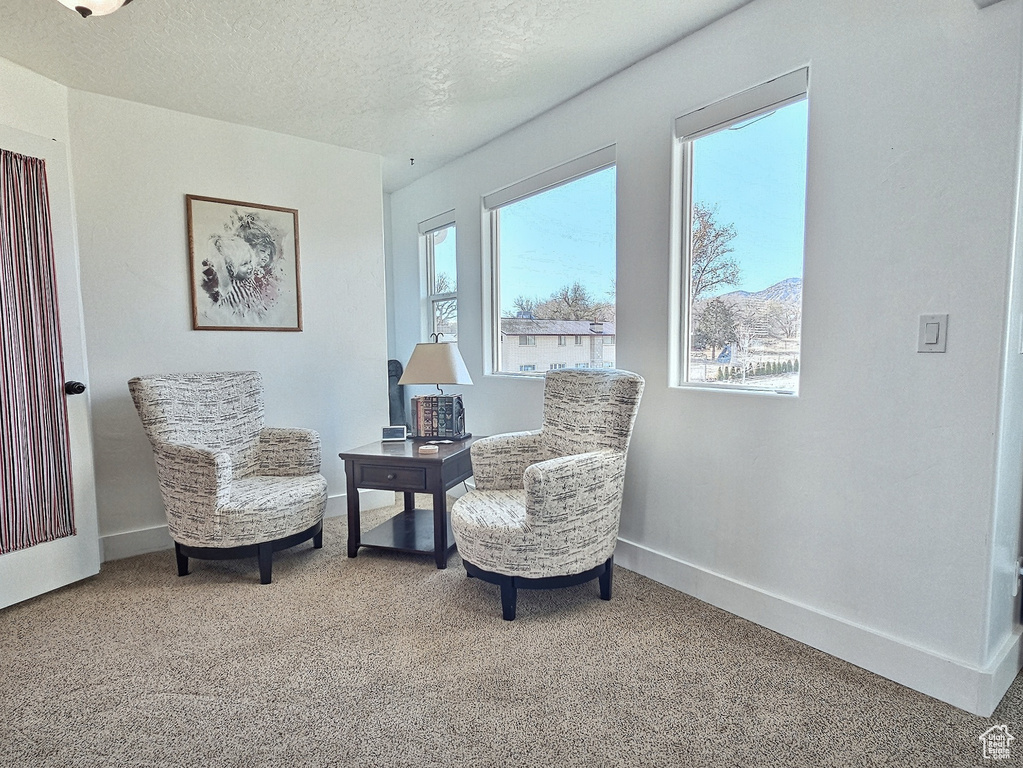 Sitting room featuring carpet flooring and a textured ceiling