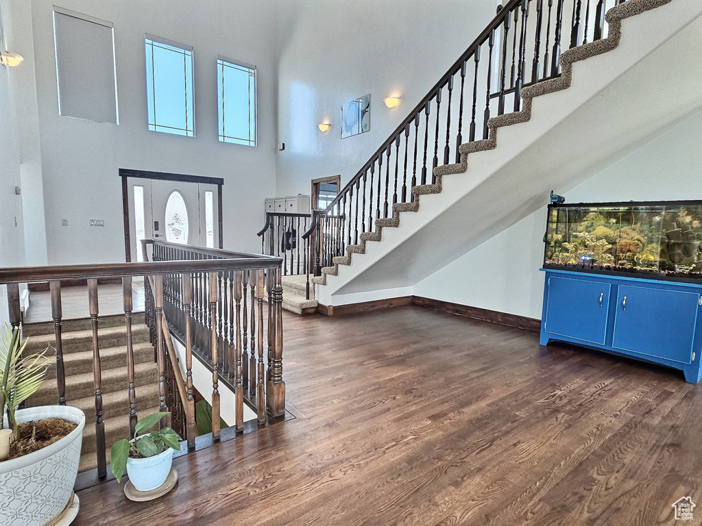 Entrance foyer featuring a high ceiling and dark hardwood / wood-style floors