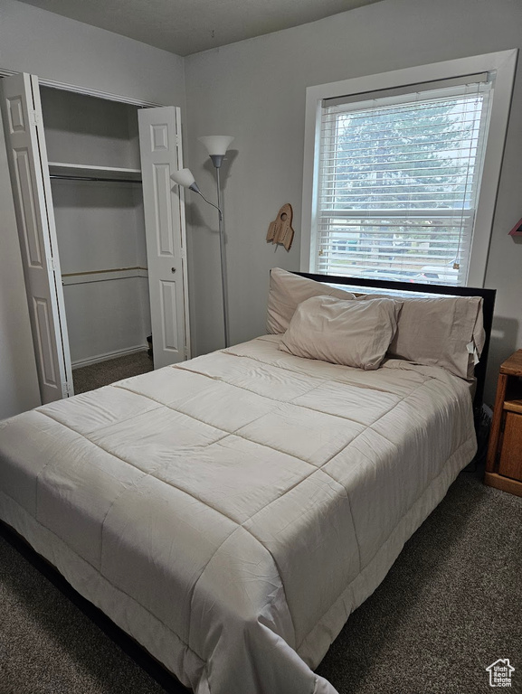 Carpeted bedroom with a closet